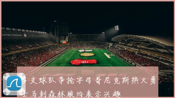 多支球队争抢字母哥尼克斯热火勇士马刺森林狼均表示兴趣