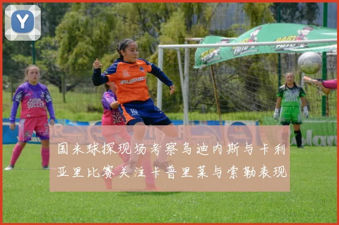 国米球探现场考察乌迪内斯与卡利亚里比赛关注卡普里莱与索勒表现